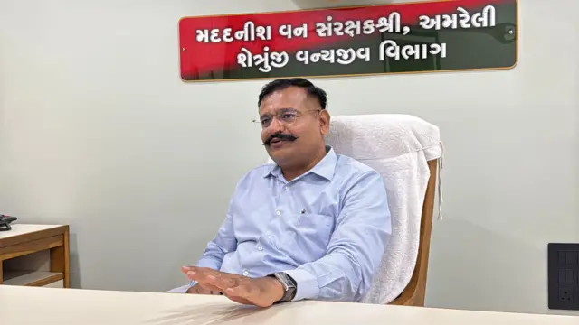 ગીર, અમરેલી, સિંહ, બીબીસી ગુજરાતી, ગીર અભયારણ્ય