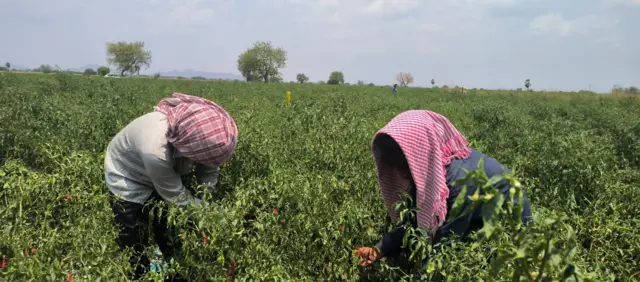 వలస కూలీలు