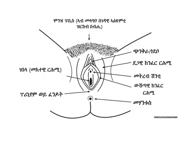 ምሉእ ከባቢ ብልዕቲ ደቂ ኣንስትዮ ሕምቦ ይበሃል