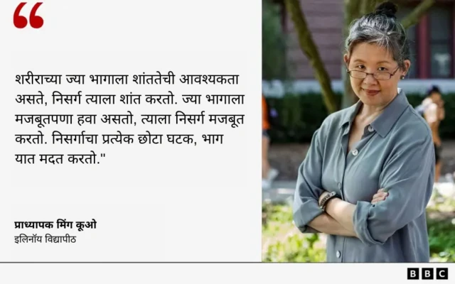 ग्राफिक्स