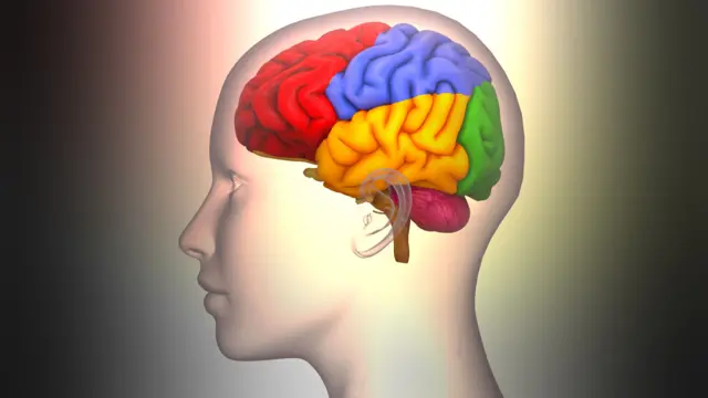 பிரச்னைகளை தீர்க்கும் திறன்களை வளர்த்துக் கொள்வதற்கும் இதுபோன்ற பயிற்சிகள் முக்கியம்.