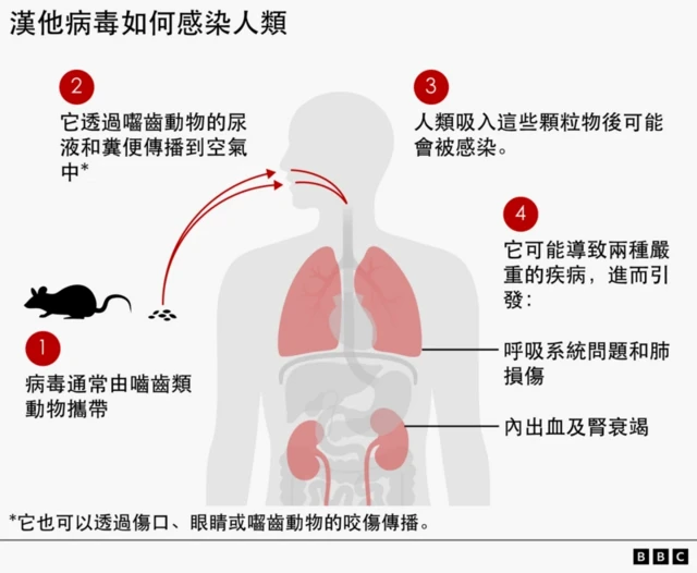 图表