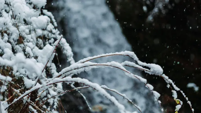 महिला मनाली घूमने गई थीं जहां वो बर्फ देखकर काफी खुश हुई थीं