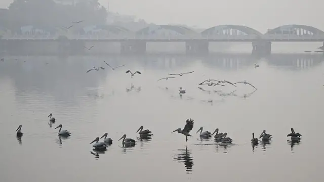 சென்னை கூவம் ஆறு