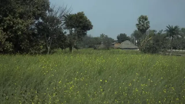 ধর্ষণের শিকার মেয়েটির বাড়ি বিহারের এক অজ পাড়াগাঁয়ে।