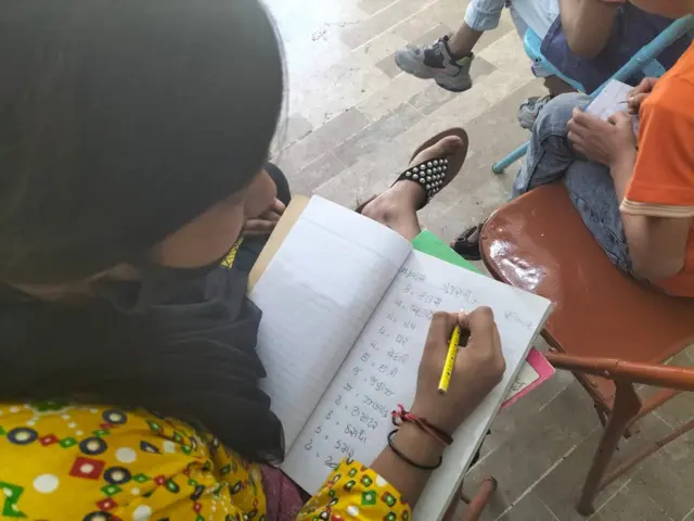 પાકિસ્તાન, પાકિસ્તાનમાં ગુજરાતી ભાષા, ગુજરાત, ગુજરાતી ભાષા, માતૃભાષા, ગુજરાતી બચાવો તહેરીક, બીબીસી ગુજરાતી 