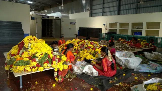 అగరుబత్తీలు 