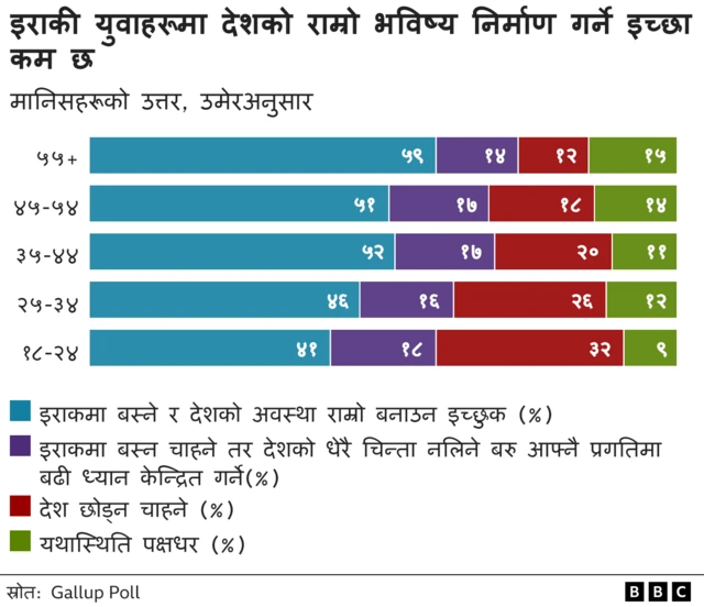 इराक सर्वेक्षण