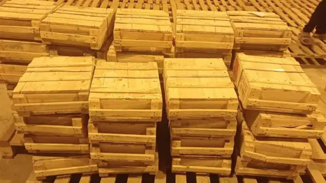 ፖሊስ በቁጥጥር ሥር እንዳዋላቸው የገለጻቸው የጥይት ሳጥኖች 