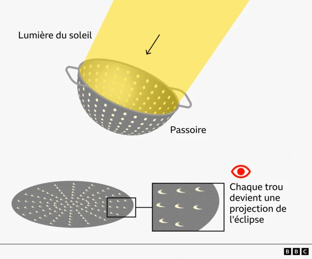 Illustration montrant comment une passoire métallique peut servir de projecteur à sténopé lors d'une éclipse solaire. La lumière du soleil traverse les nombreux petits trous de la passoire, et chaque trou projette une petite image en forme de croissant du Soleil éclipsé sur une surface située en dessous. Un agrandissement met en évidence les projections en forme de croissant, et la légende indique : « Chaque trou devient une projection de l'éclipse. »