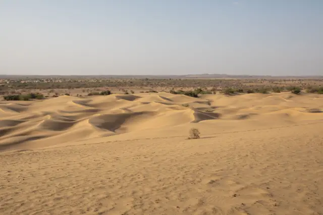 थरचे वाळवंट, राजस्थान.