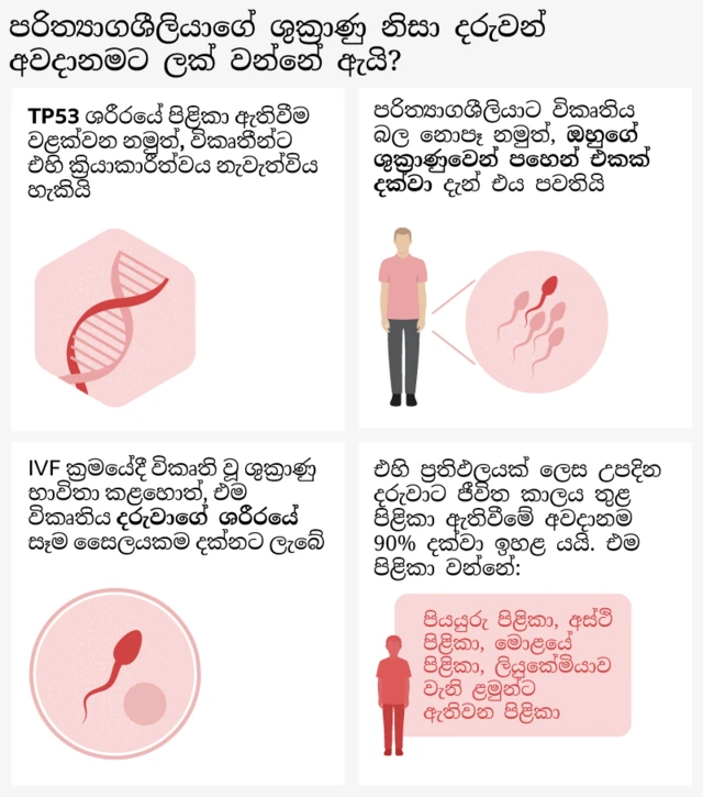 Infographic explaining how a TP53 gene mutation in the donor's sperm can lead to cancer risk in children conceived via IVF. Top-left panel shows a DNA strand with text: “TP53 helps the body prevent cancer, but mutations can stop it working.” Top-right panel shows a human figure next to sperm illustrations with text: “The donor is unaffected by the mutation, but it is present in up to a fifth of his sperm.” Bottom-left panel shows a sperm cell inside a circle with text: “If mutated sperm are used in IVF, the mutation would end up in every cell in the child’s body.” Bottom-right panel shows a silhouette of a child with text above saying: “The resulting child has an up to 90% risk of developing cancer in their lifetime, including - breast cancer, bone cancers, brain tumours, childhood cancers like leukaemia”.