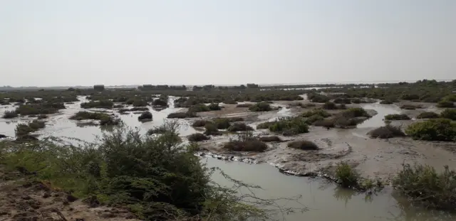 دریائے سندھ 