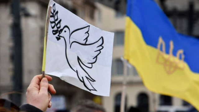 Украинадагы согуш