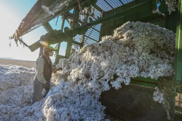 પ્રતીકાત્મક તસવીર