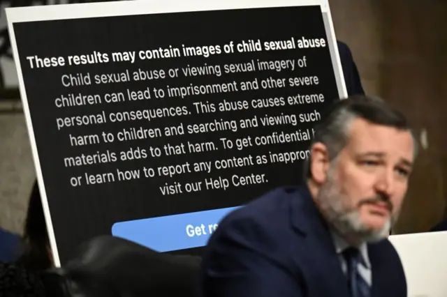 মেটা বলছে, কিশোর-কিশোরীদেরকে অনলাইনে নিরাপদ পরিবেশ দেয়ার জন্য তারা ৩০টিরও বেশি টুলস এনেছে।