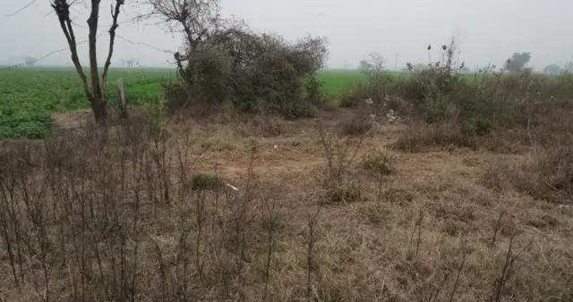 ਮਹਿਣਾ ਪਿੰਡ ਦਾ ਕਬਰਸਤਾਨ