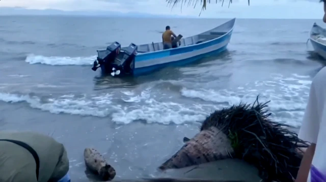 เรือลำนี้จมลงนอกบาฮามาส