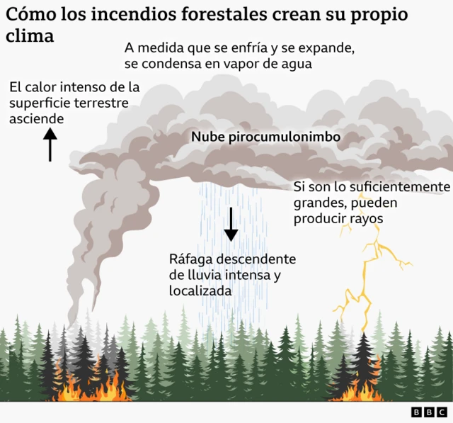Infografía que se titula Cómo los incendios forestales crean su propio clima