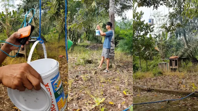 Farida dan keluarganya menggunakan cara kreatif untuk bisa mendapatkan koneksi internet.