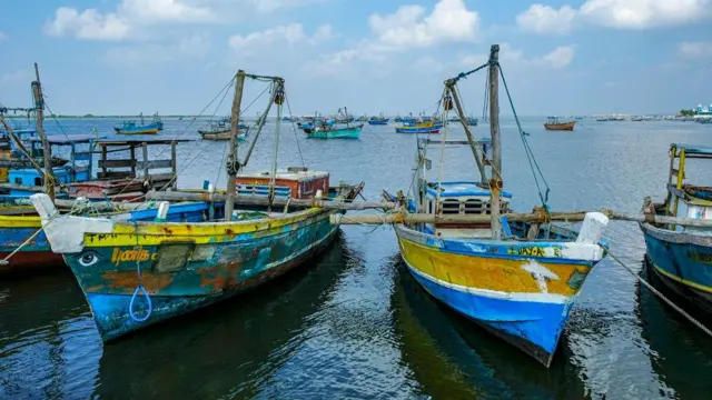 தமிழக மீனவர்கள் எல்லை தாண்டக்கூடாது என்று இலங்கை அமைச்சர் வேண்டுகோள்