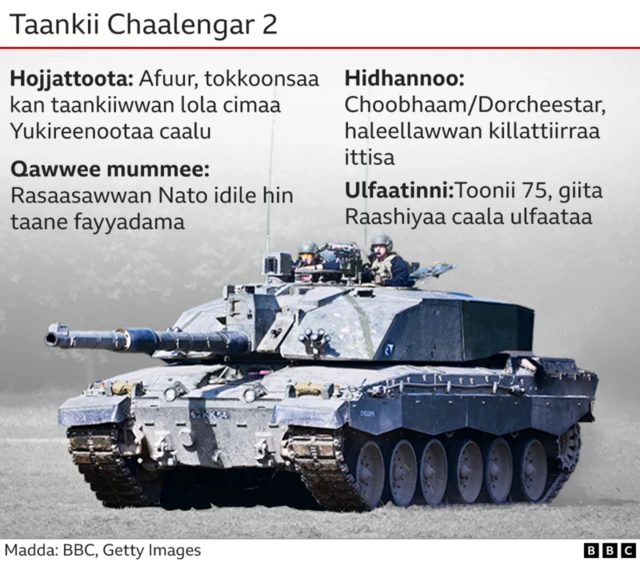 Taankii Chaalleenjerii