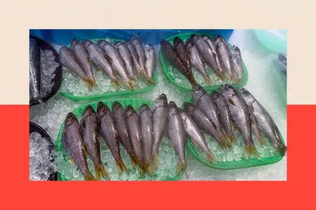 Pescado azul en funtes con hielo