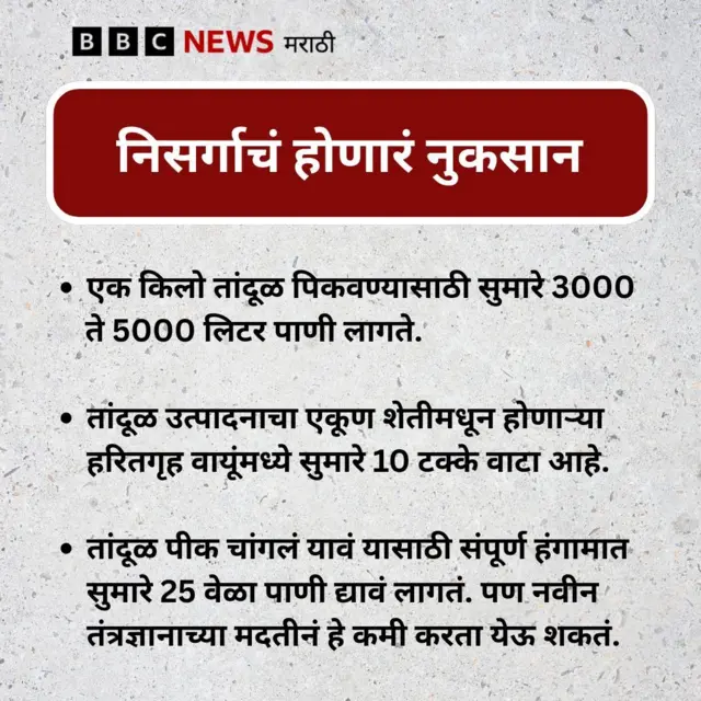 ग्राफिक्स