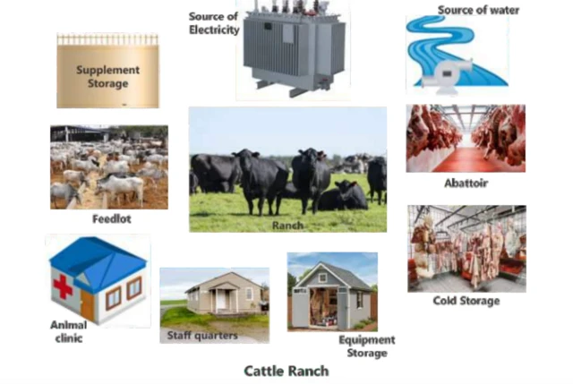 A sample Cattle Ranch wey dey inside di National Livestock Transformation Plan