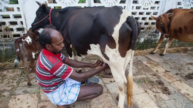 மனோ தங்கராஜ் விளக்கம்