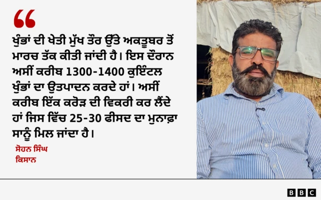 ਸੋਹਨ ਸਿੰਘ ਕਿਸਾਨ