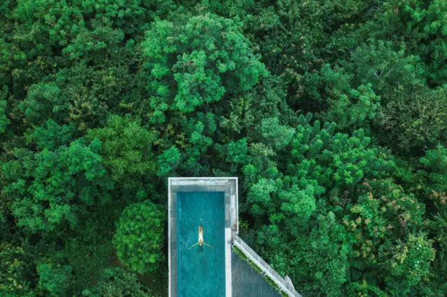 လူနဲ့ဝေးရာ ကွန်းရိပ်သာ အဖြစ် ကြော်ငြာတဲ့ ဘာလီမြောက်ပိုင်း တောတွင်းက အနားယူစခန်းတွေ 