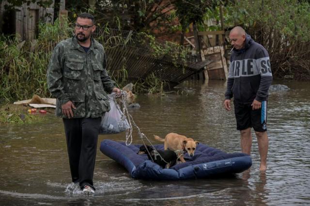 Cachorros sendo resgatados em colcho inflvel