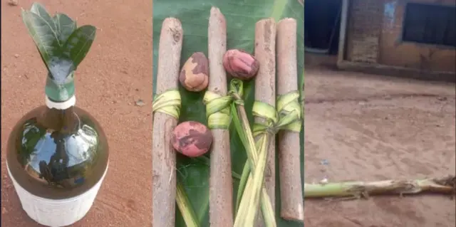 Ihe nrịbama dị ommi n'Igbo