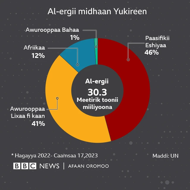 Miidhaan Yukireen alatti ergitu