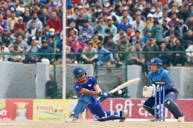 क्रिकेट 