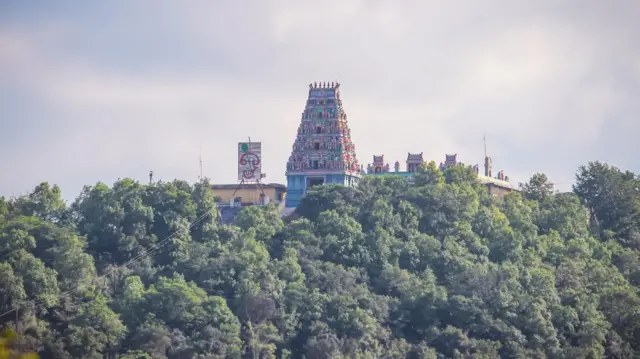 முருகன் வழிபாடு, தமிழ்நாடு அரசியல், பாஜக, திமுக, நாம் தமிழர், அதிமுக