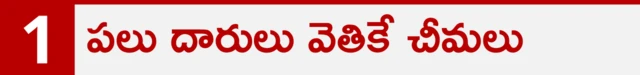 కీటకాలు 