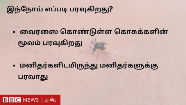 ஜப்பானிய மூளைக்காய்ச்சல் தடுப்பூசி