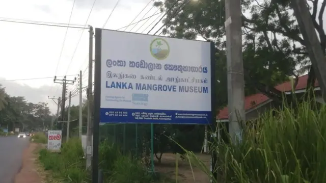 කොළඹ, හලාවත මාර්ගයේ ප්රධාන පාරට ආසන්නව කාකපල්ලිය, පම්බල ප්රදේශයේ පිහිටා ඇති ලංකා කඩොලාන කෞතුකාගාරය නැරඹීමට කිසිදු මුදලක් අය නොකෙරේ.