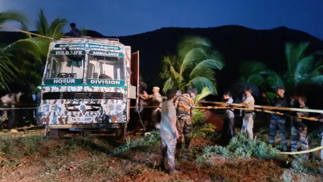 யானை மனித மோதல்