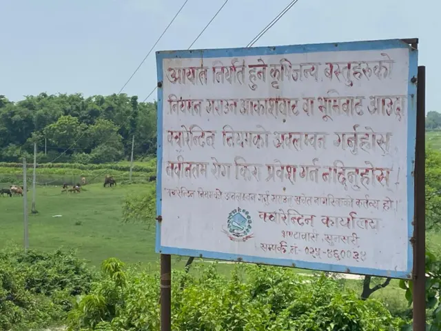 दशगजामा गाईगोरु
