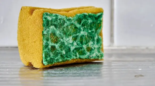 설거지용 스펀지