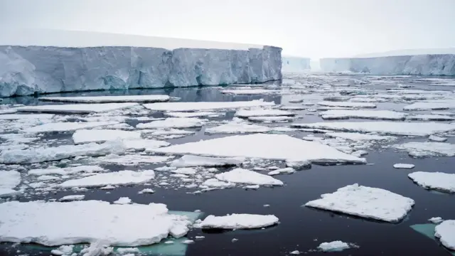 تھاویٹس گلیشئیر