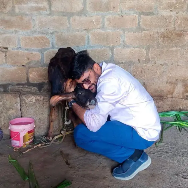 ગોપાલ ઇટાલિયા, વીસાવદર, ભાજપ, ગુજરાત, આમ આદમી પાર્ટી, બીબીસી ગુજરાતી 