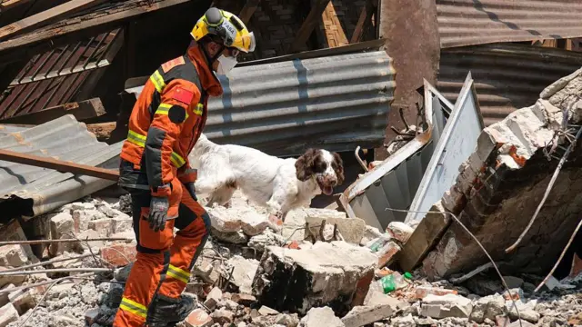 Un rescatista busca sobrevivientes entre los escombros con ayuda de un perro.