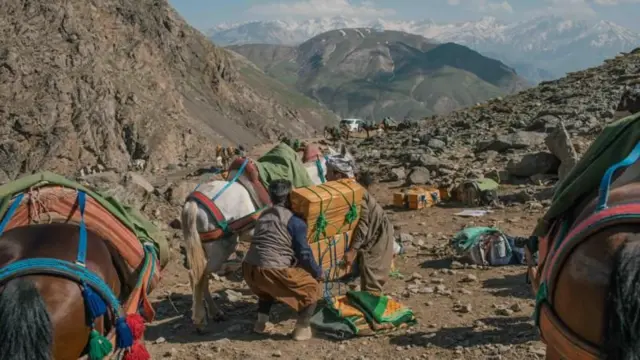 मुस्लिम देशहरूमा मदिरा तस्करी