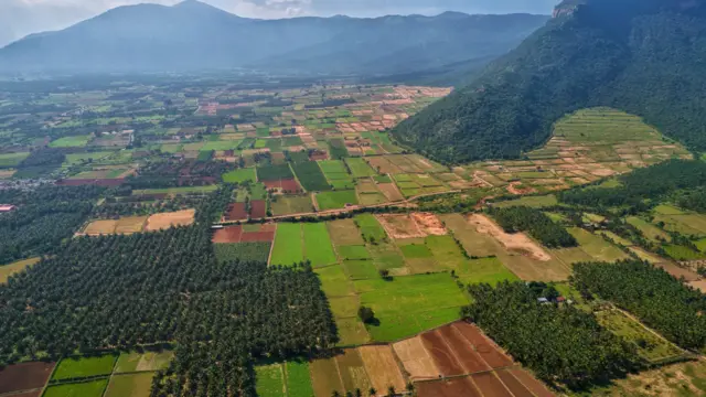 கோவை, மணல் கொள்ளை, மேற்குத் தொடர்ச்சி மலை, தடாகம், இயற்கை வளம், யானை வழித்தடம்