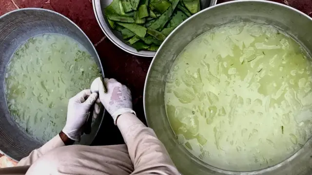 کورونا وائرس، اوکاڑہ، پنجاب، بصیرپور، پاکستان