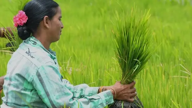 మహిళా రైతు